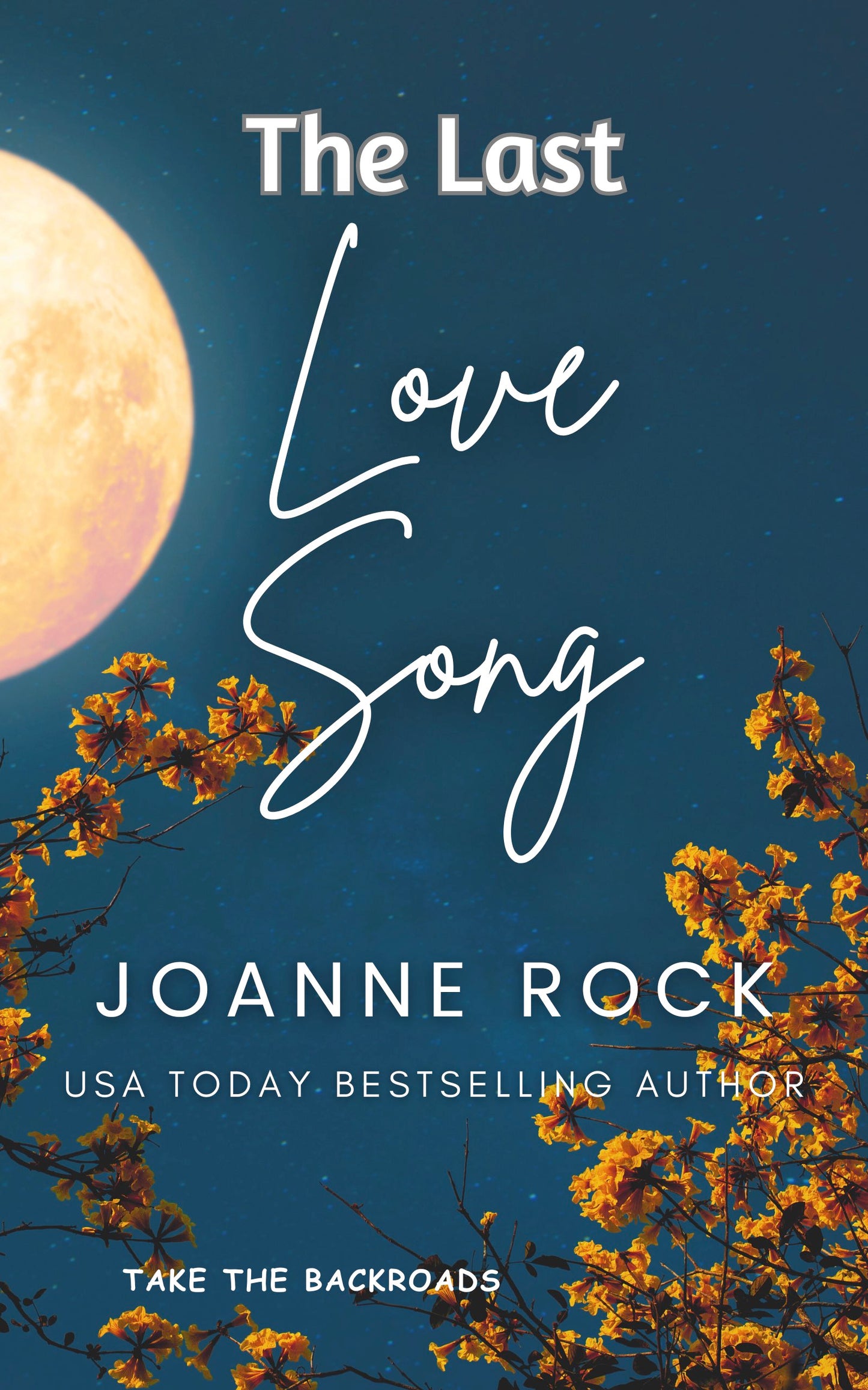 The Last Love Song